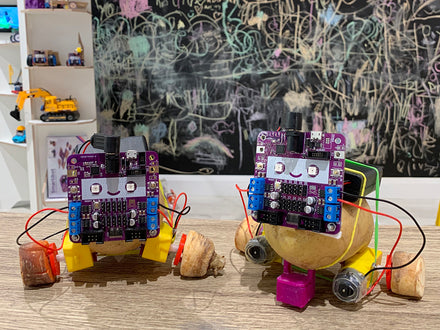A week of Fun and Creative Robot Workshops