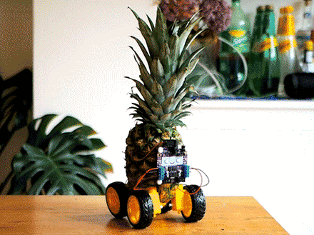 DIY Pineapple Robot